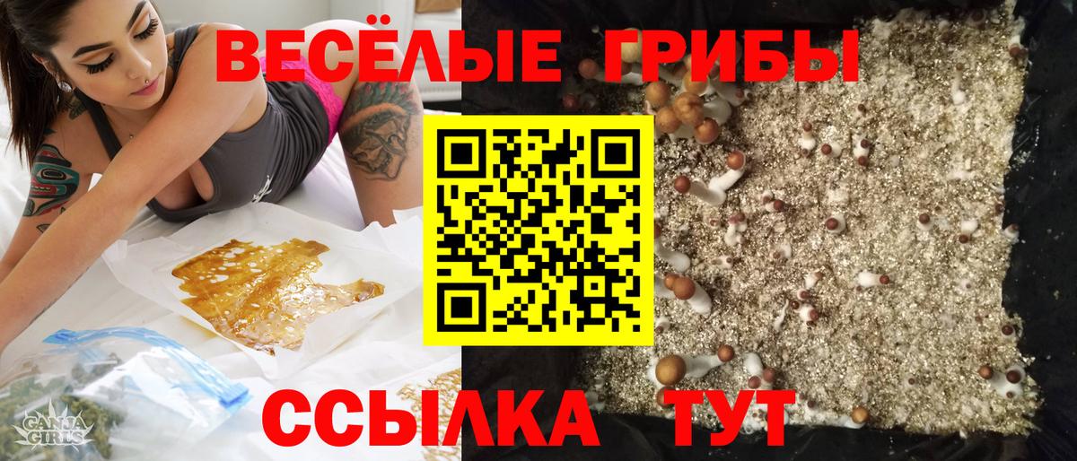 купить наркоту  Вход с VPN  Осинники  Псилоцибиновые грибы мухоморы 
